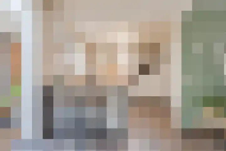 Raam 532 Uden thumbnail 13