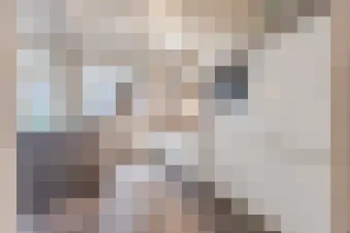 Raam 532 Uden thumbnail 14