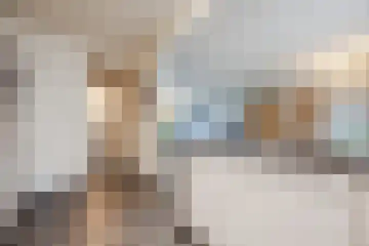 Raam 532 Uden thumbnail 15