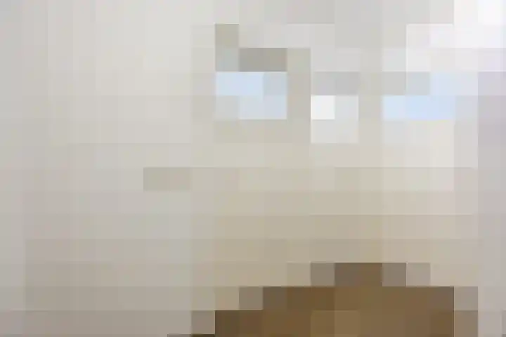 Raam 532 Uden thumbnail 16