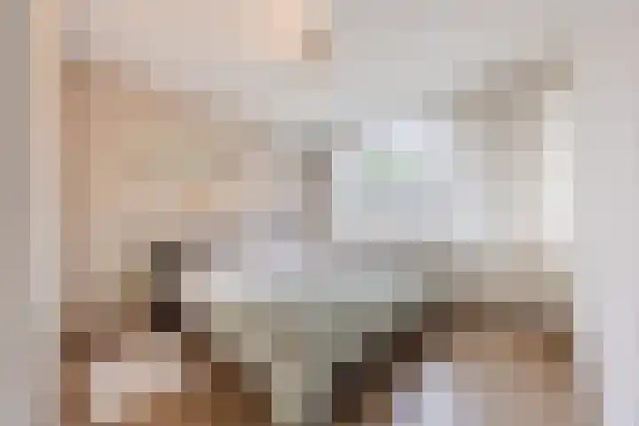 Raam 532 Uden thumbnail 18