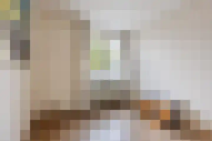 Raam 532 Uden thumbnail 20