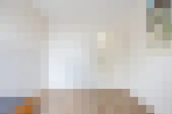 Raam 532 Uden thumbnail 21