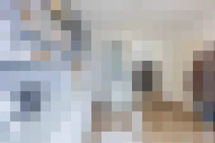 Raam 532 Uden thumbnail 23