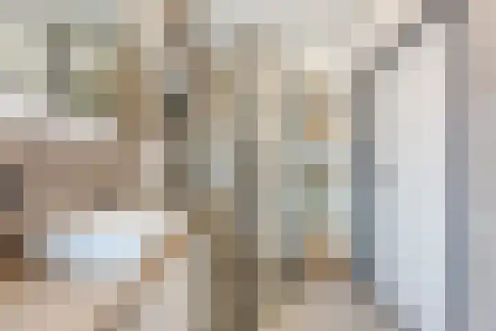 Raam 532 Uden thumbnail 25