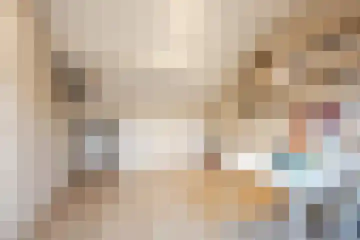 Raam 532 Uden thumbnail 28