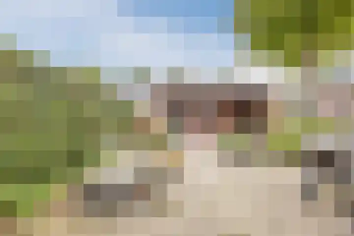 Raam 532 Uden thumbnail 30
