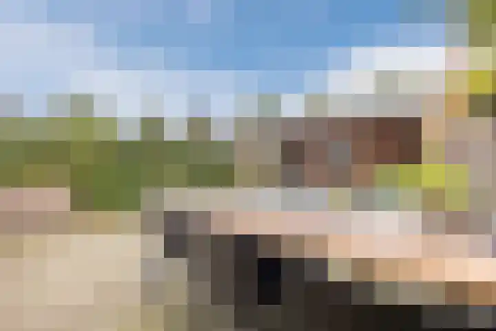 Raam 532 Uden thumbnail 31