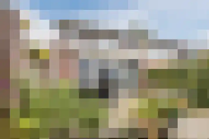 Raam 532 Uden thumbnail 32