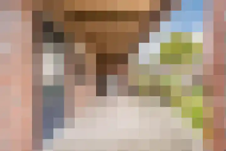 Raam 532 Uden thumbnail 34