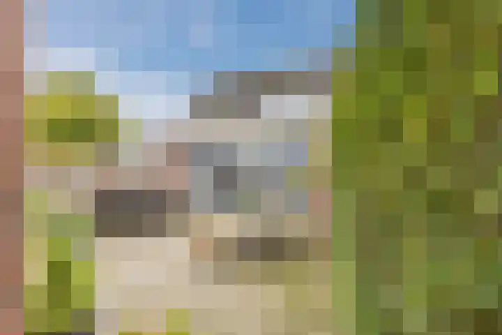Raam 532 Uden thumbnail 35