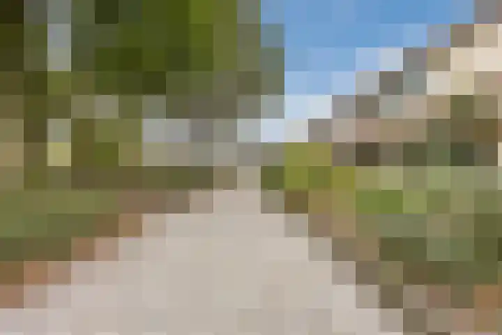 Raam 532 Uden thumbnail 40