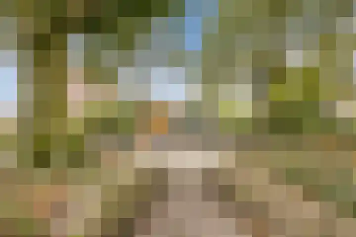 Raam 532 Uden thumbnail 41