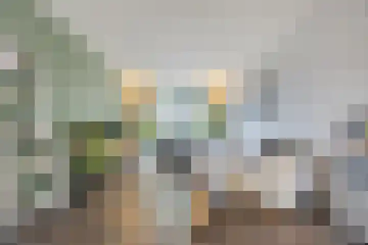 Raam 532 Uden thumbnail 7