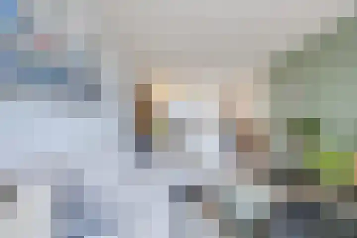Raam 532 Uden thumbnail 8
