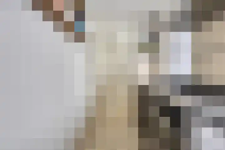 Raamsteeg 41 Leiden thumbnail 11