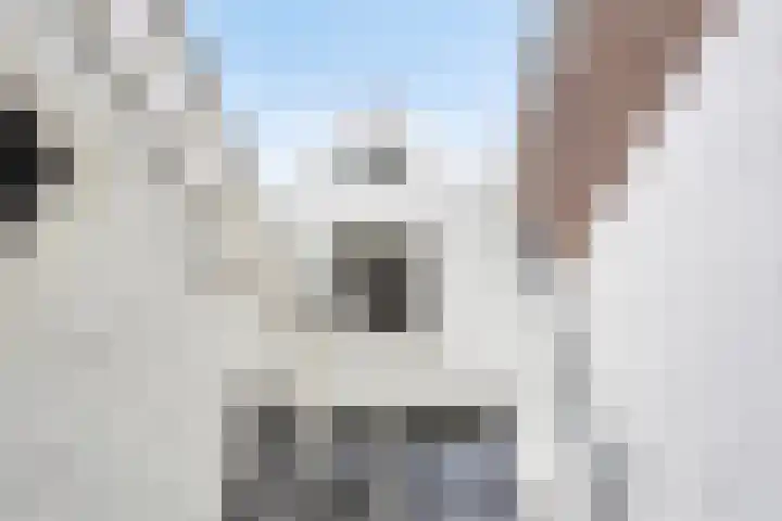Raamsteeg 41 Leiden thumbnail 22