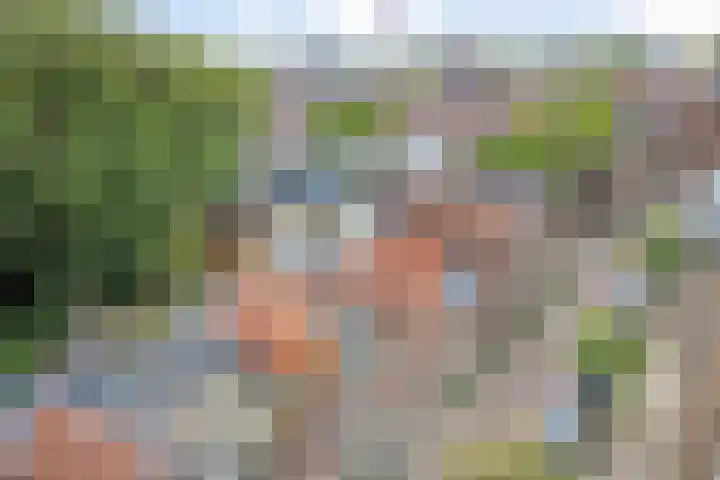 Raamsteeg 41 Leiden thumbnail 24