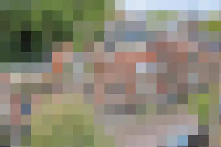 Raamsteeg 41 Leiden thumbnail 4