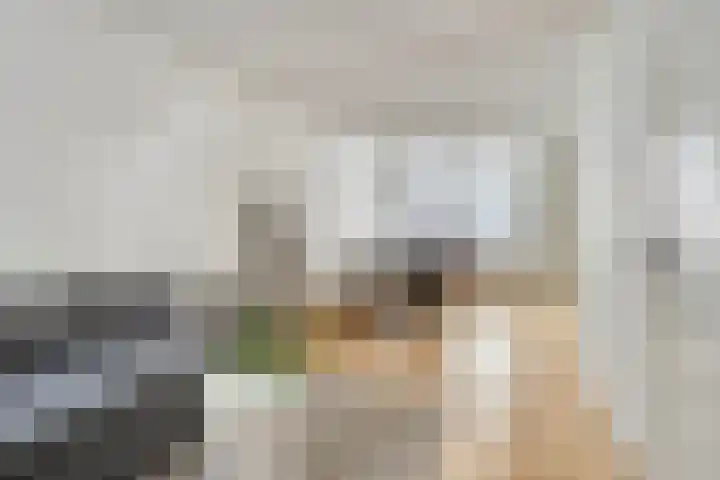 Raamsteeg 41 Leiden thumbnail 9