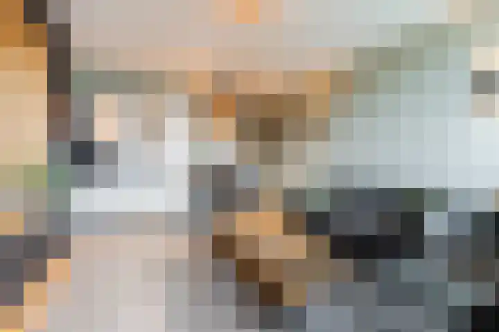 Raamveld 145 Geldrop thumbnail 12