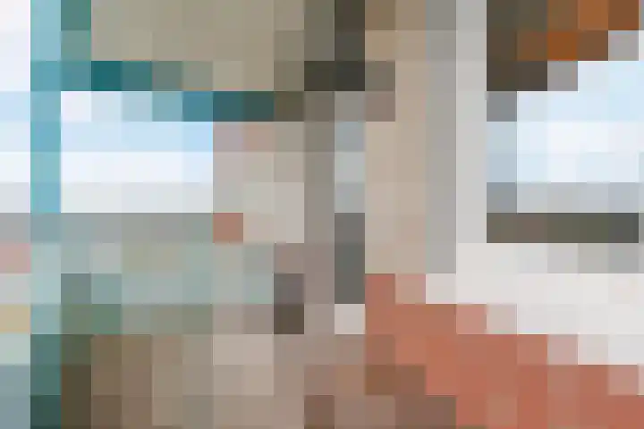 Raamveld 145 Geldrop thumbnail 22