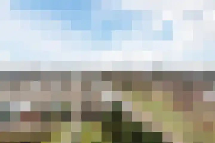 Raamveld 145 Geldrop thumbnail 23