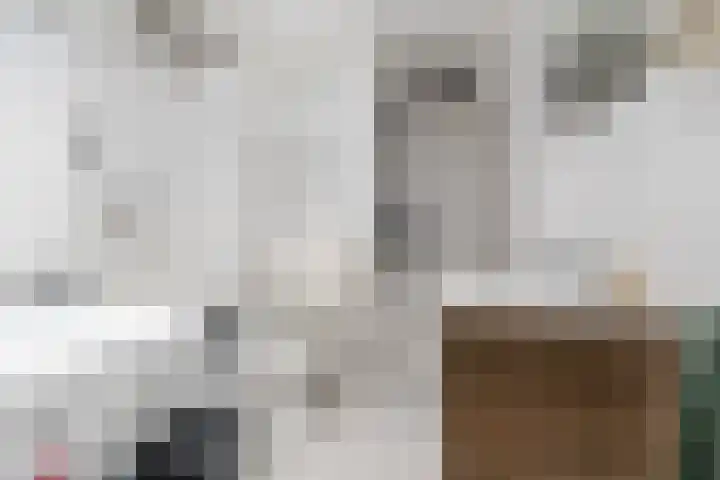 Raamveld 145 Geldrop thumbnail 4