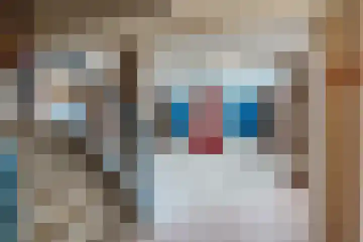 Raamveld 145 Geldrop thumbnail 8