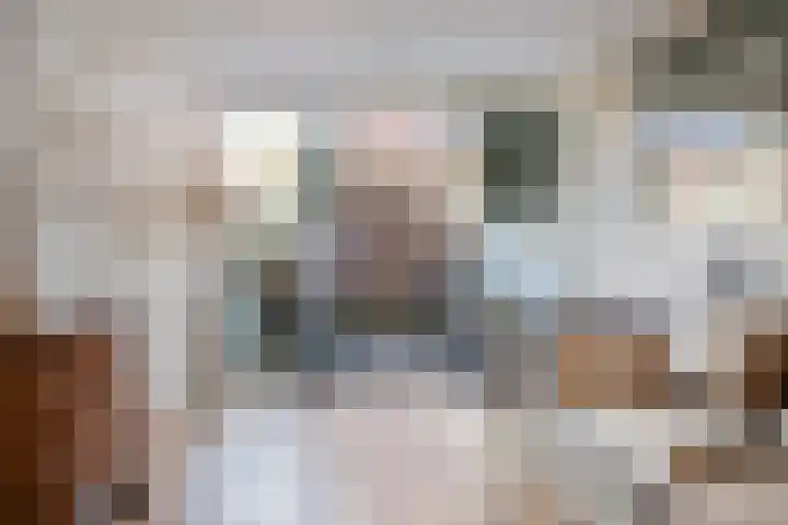 Raamvest 27 Haarlem thumbnail 11