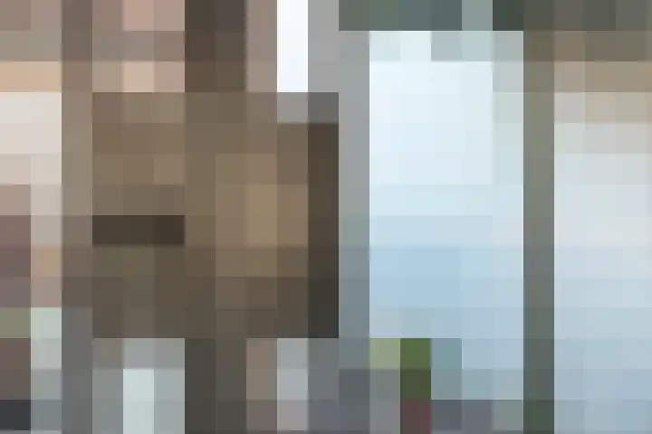 Raamvest 27 Haarlem thumbnail 15
