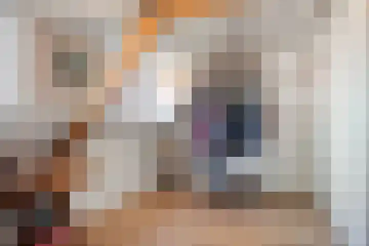 Raamvest 27 Haarlem thumbnail 26