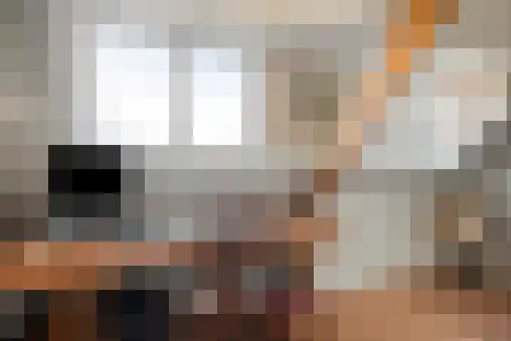 Raamvest 27 Haarlem thumbnail 27