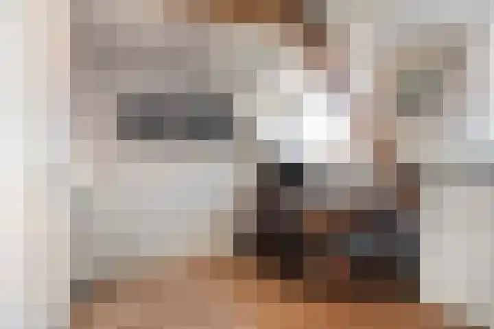 Raamvest 27 Haarlem thumbnail 28