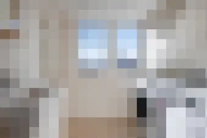 Raamvest 27 Haarlem thumbnail 29