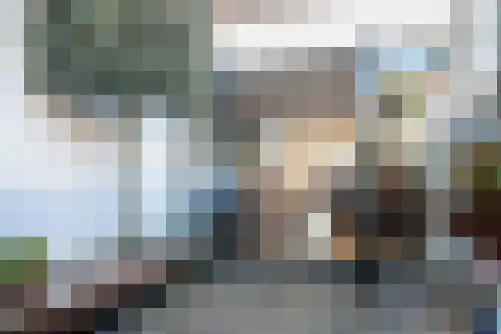 Raamvest 27 Haarlem thumbnail 4