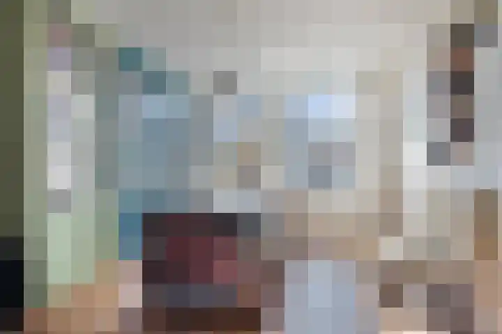 Raamvest 27 Haarlem thumbnail 5