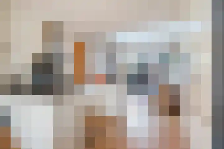Raamvest 27 Haarlem thumbnail 8