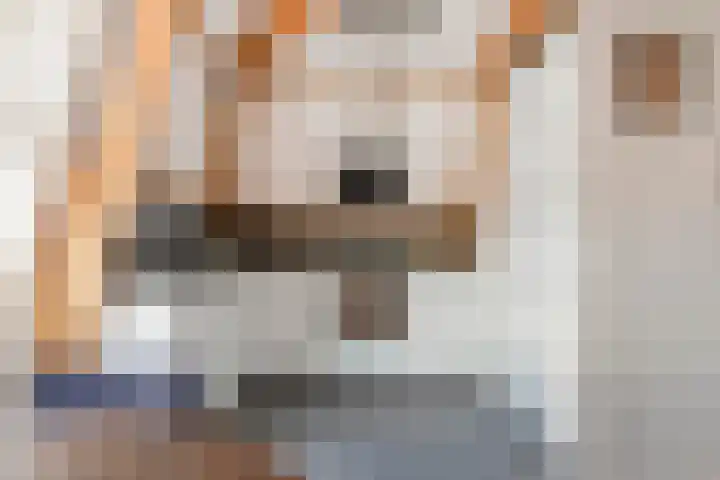 Raamvest 35 B Haarlem thumbnail 15
