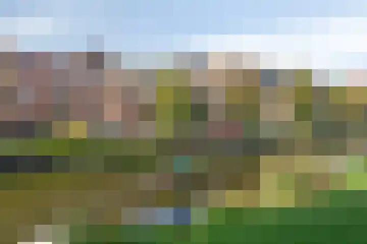 Raamvest 35 B Haarlem thumbnail 25