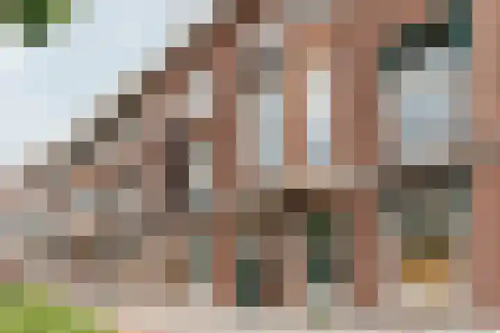 Raamweg 2 C Den Haag thumbnail 26
