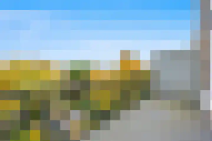 Raamweg 20 D Den Haag thumbnail 26