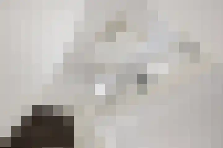 Raamweg 20 D Den Haag thumbnail 5