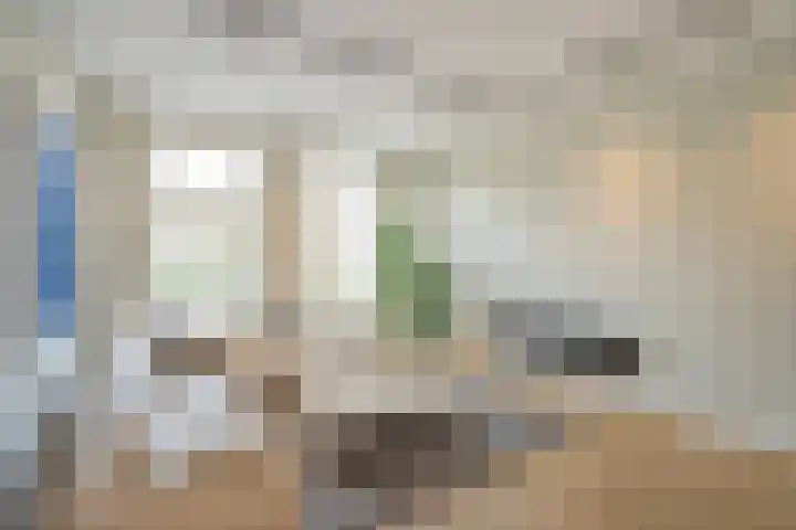 Raamweg 21 Den Haag thumbnail 15