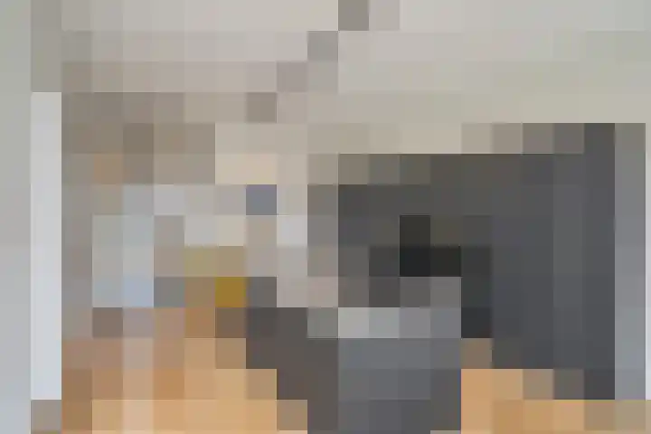 Raamweg 21 Den Haag thumbnail 21