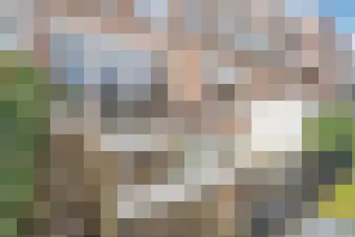 Raamweg 21 Den Haag thumbnail 43