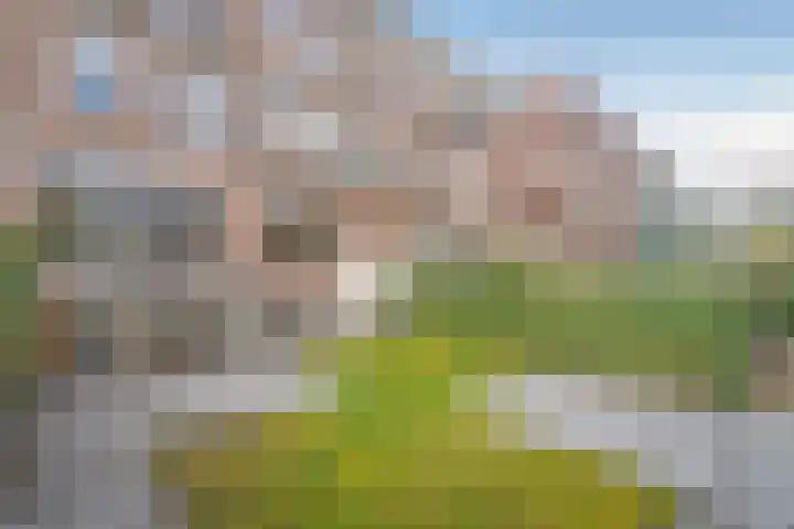 Raamweg 21 Den Haag thumbnail 44