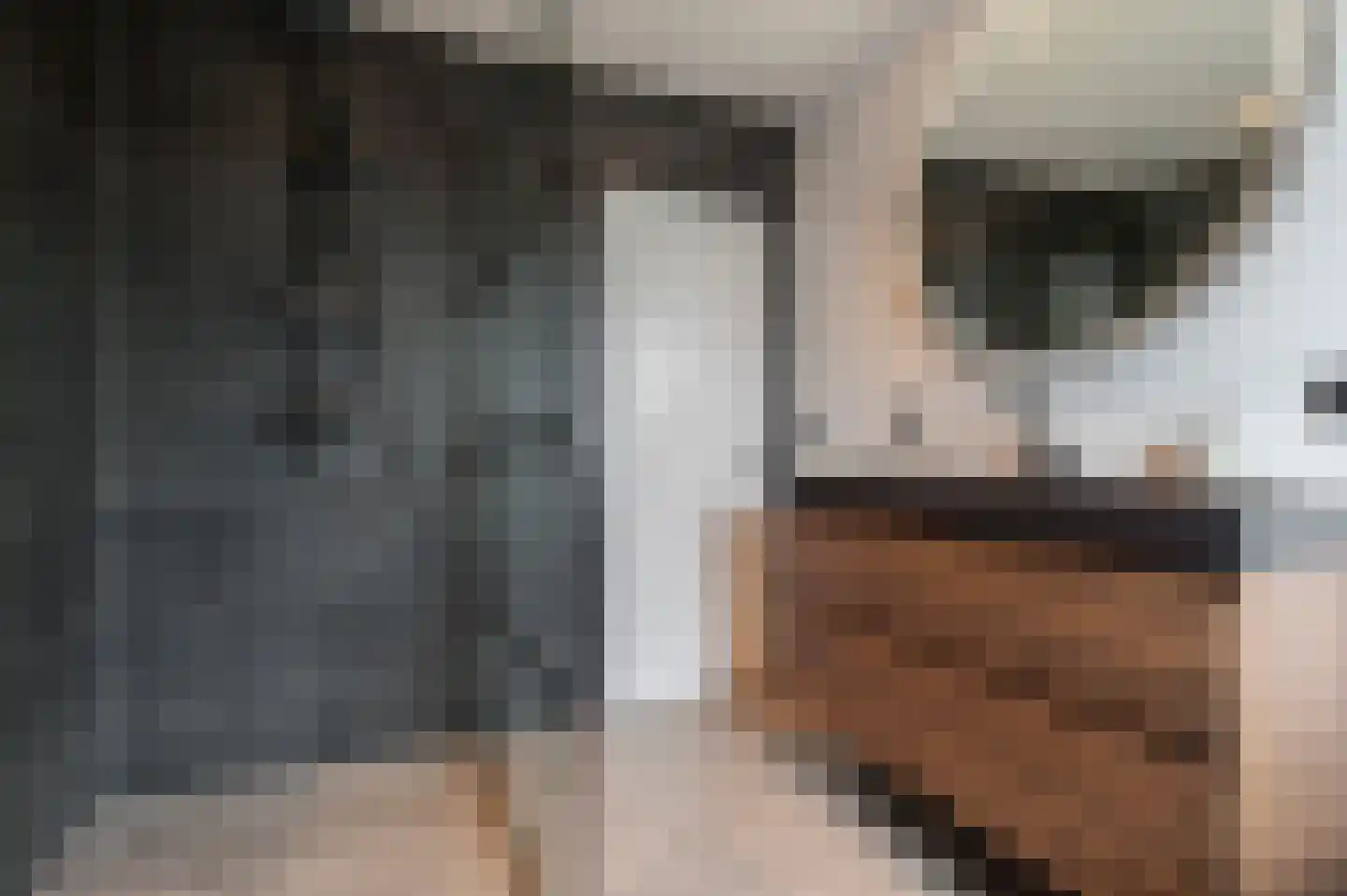 Raamweg 29 Tricht thumbnail 26