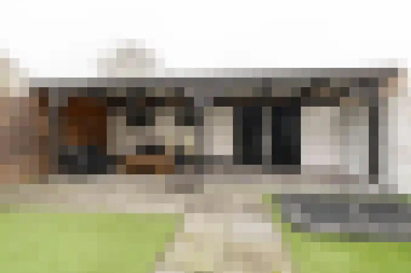Raamweg 29 Tricht thumbnail 29