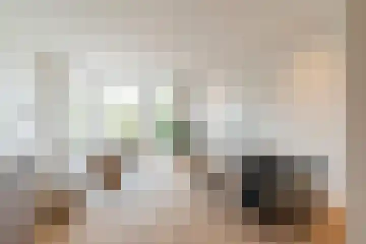 Raamweg 5 E Den Haag thumbnail 13